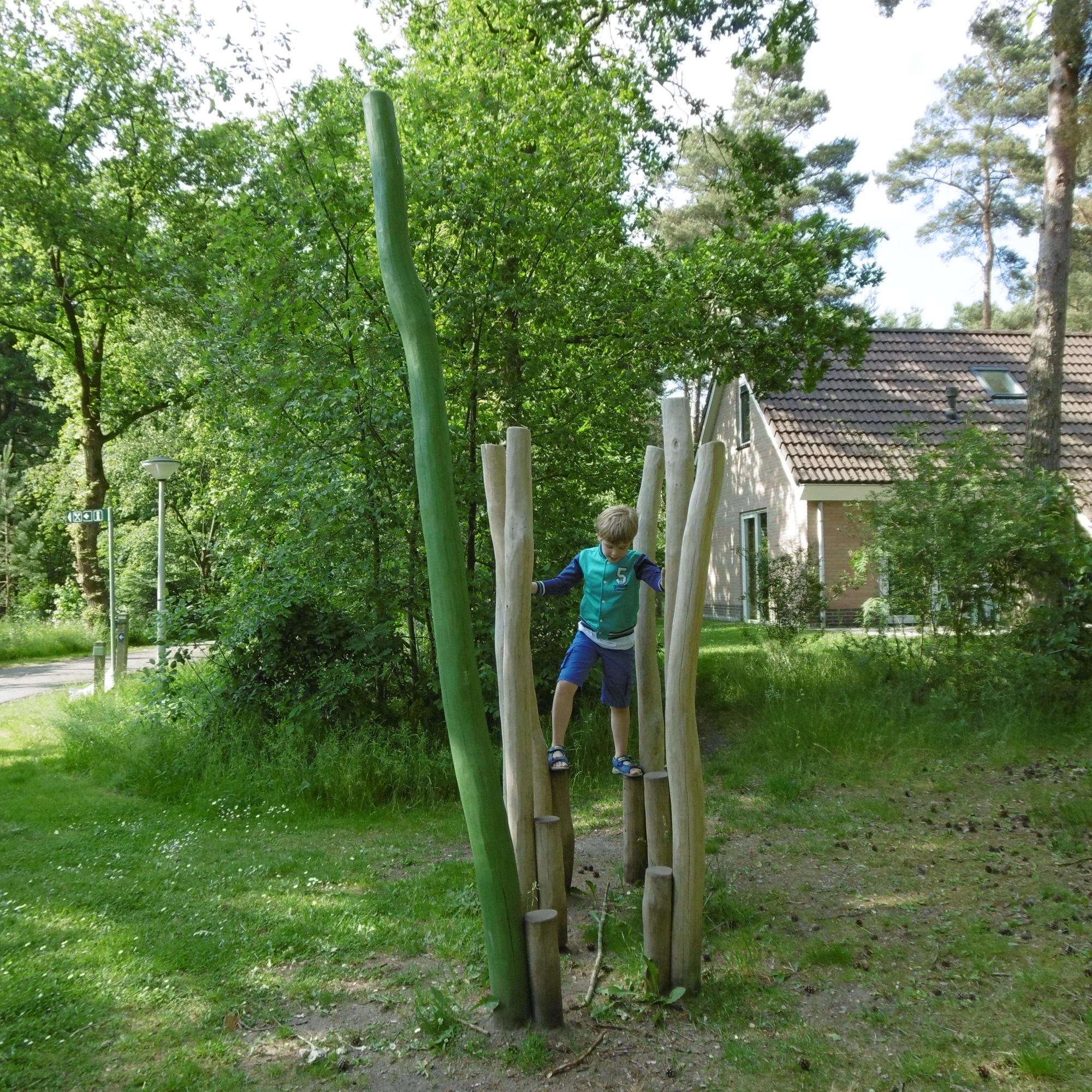 landal twenhaarsveld