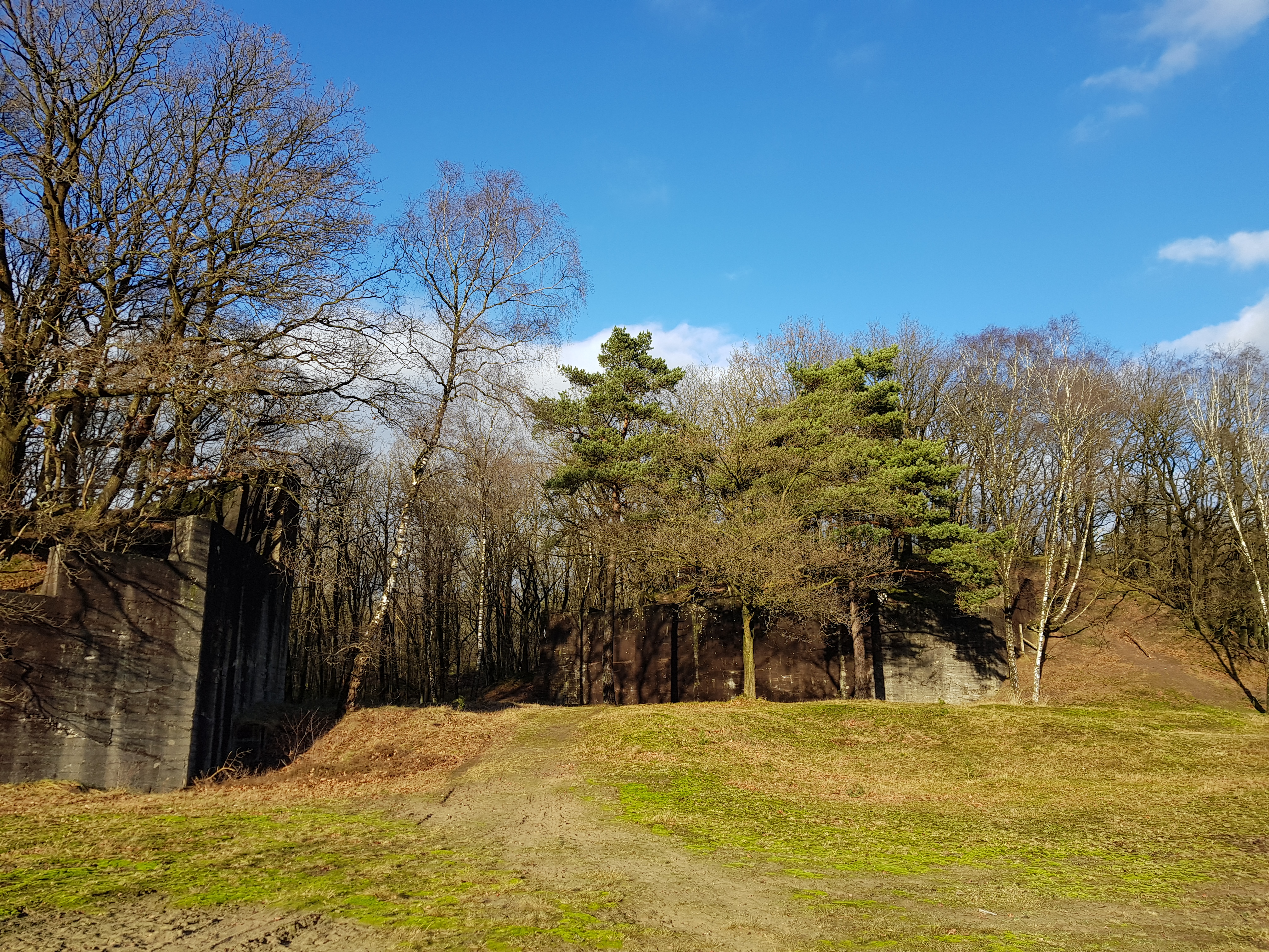 hoge veluwe