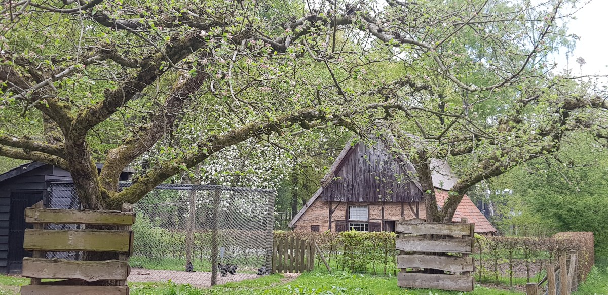 openluchtmuseum arnhem
