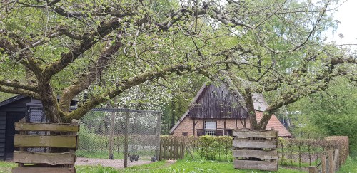 openluchtmuseum arnhem
