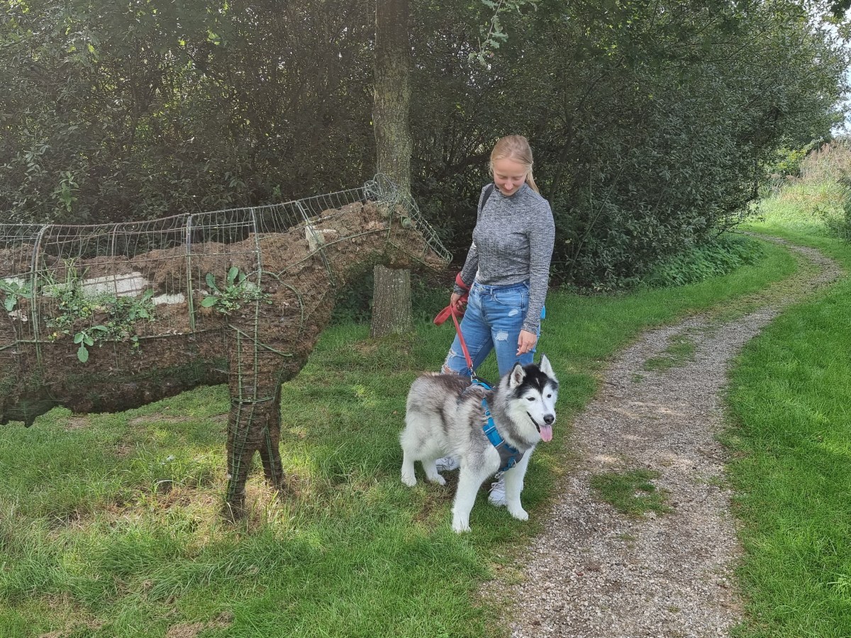 Bloemenpark Appeltern in Appeltern