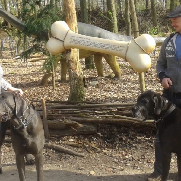 5 tips voor de herfstvakantie