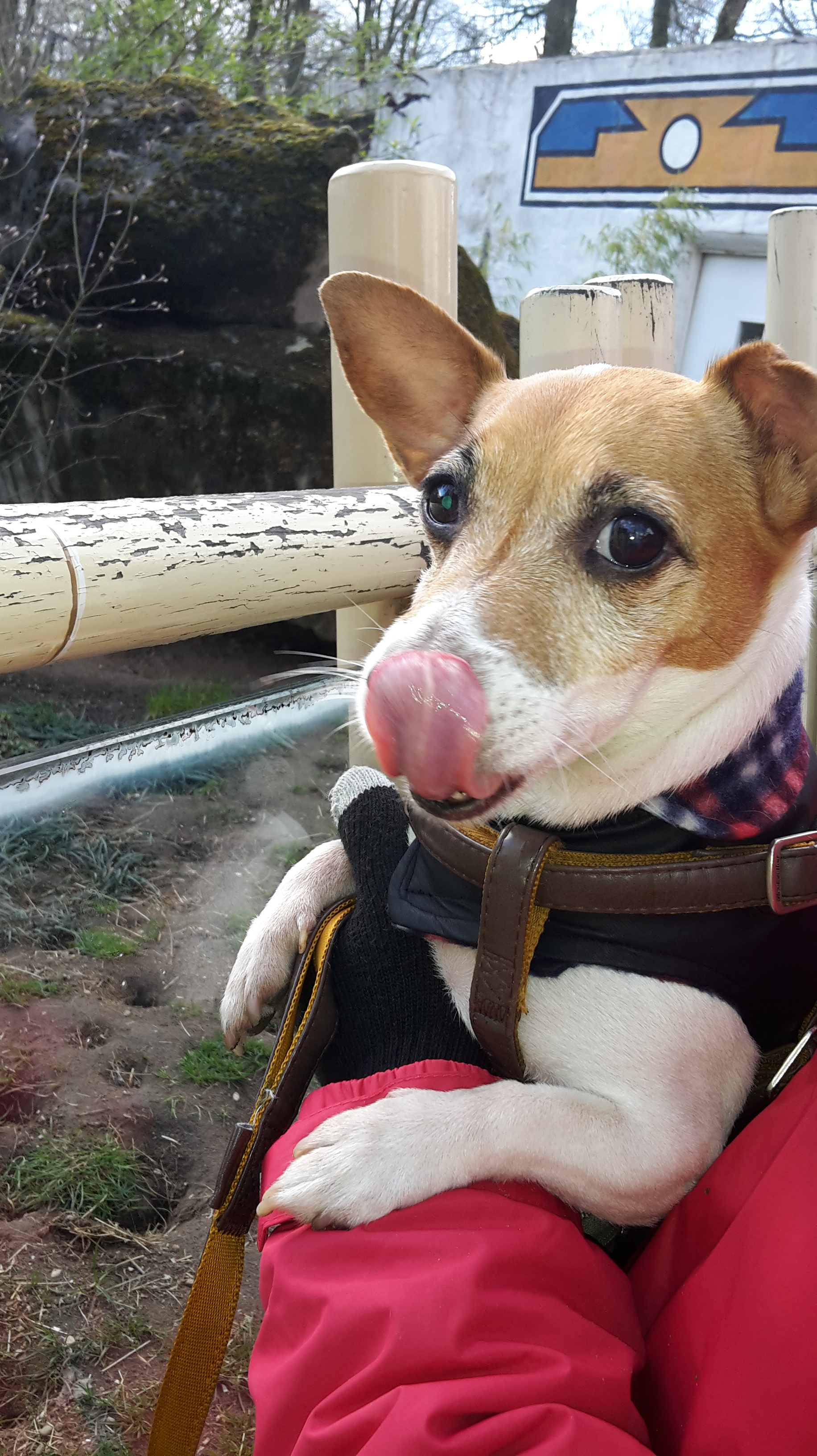 ouwehands dierenpark