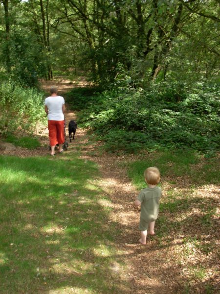odapark dagje weg hond mee