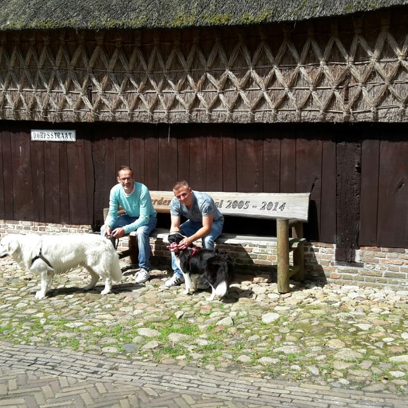 Drenthe – dagje weg hond mee