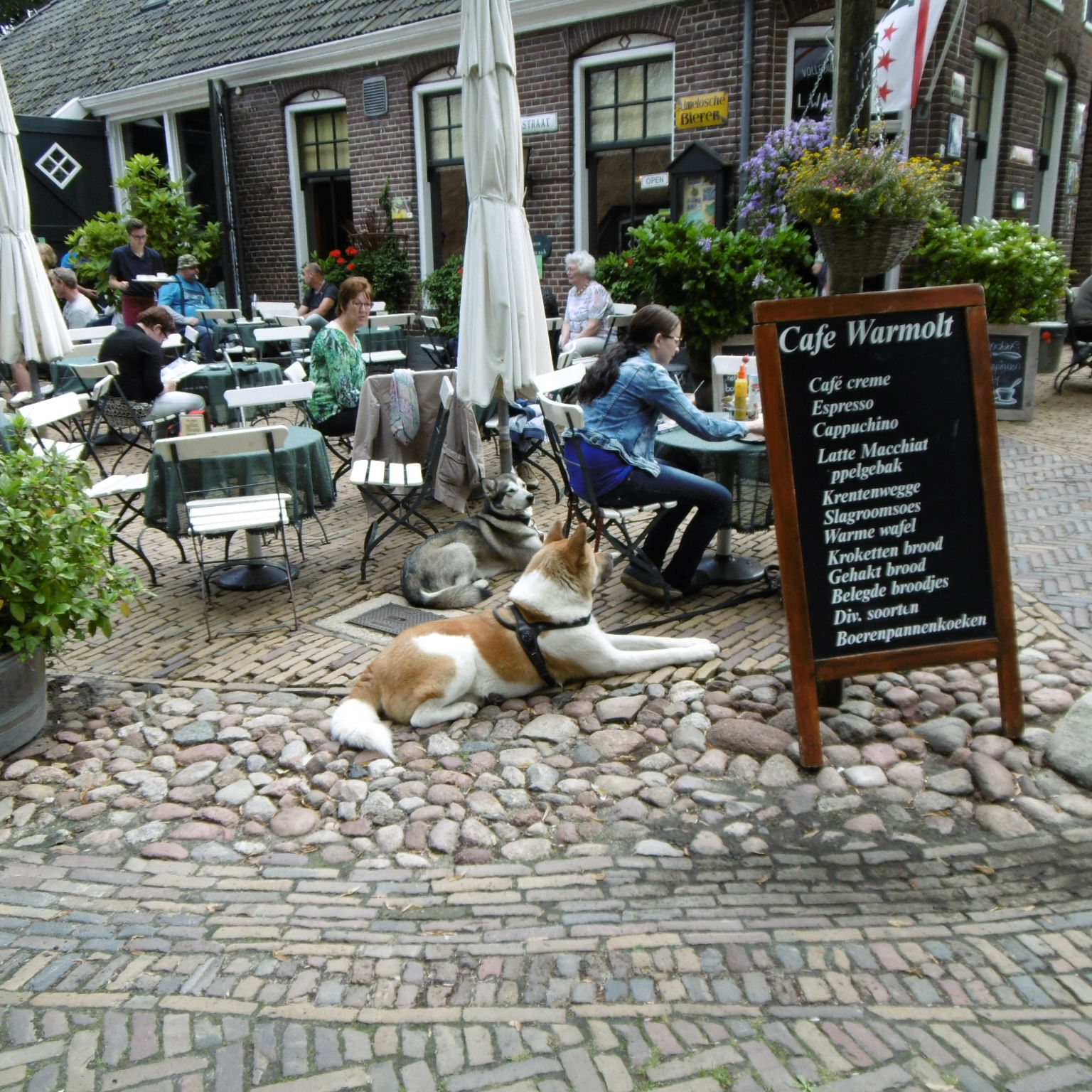 museumdorp orvelte terras