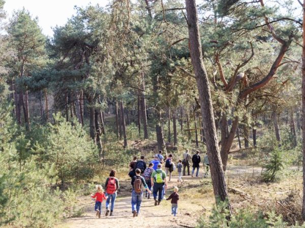 Het Nationale Park De Hoge Veluwe