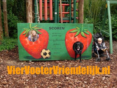 viervoetervriendelijk SHOP