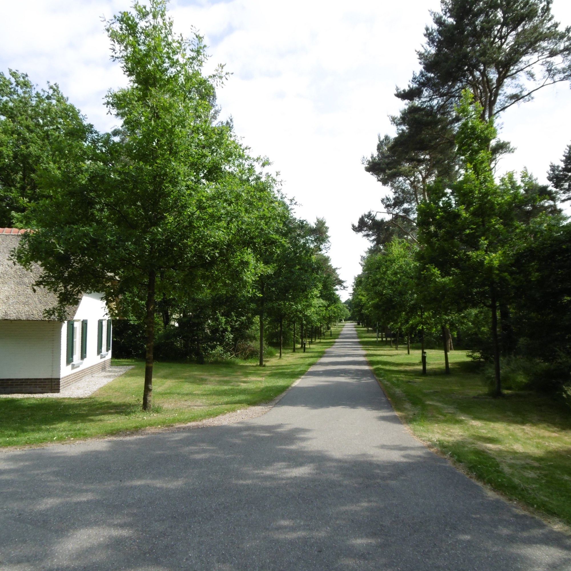 landal viervoetervriendelijk