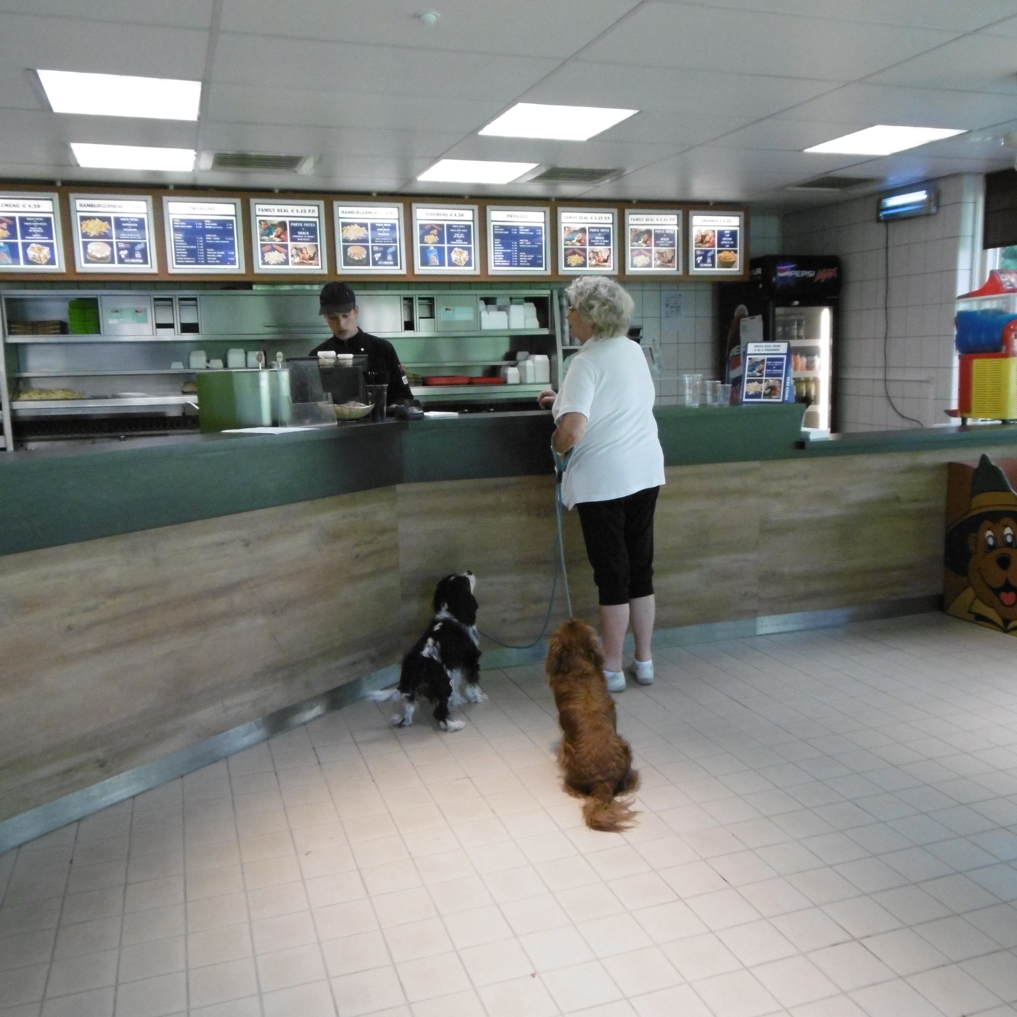 Landal Twenhaarsveld hondenbungalow