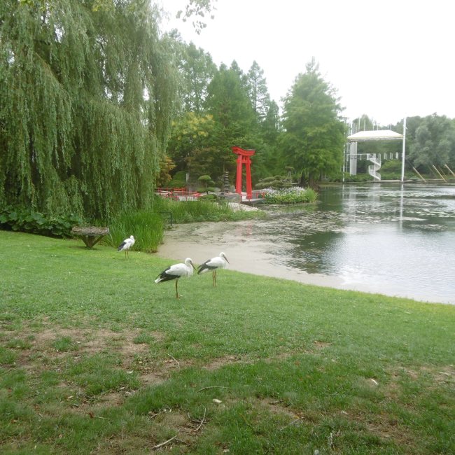 kasteeltuinen Arcen viervoetervriendelijk