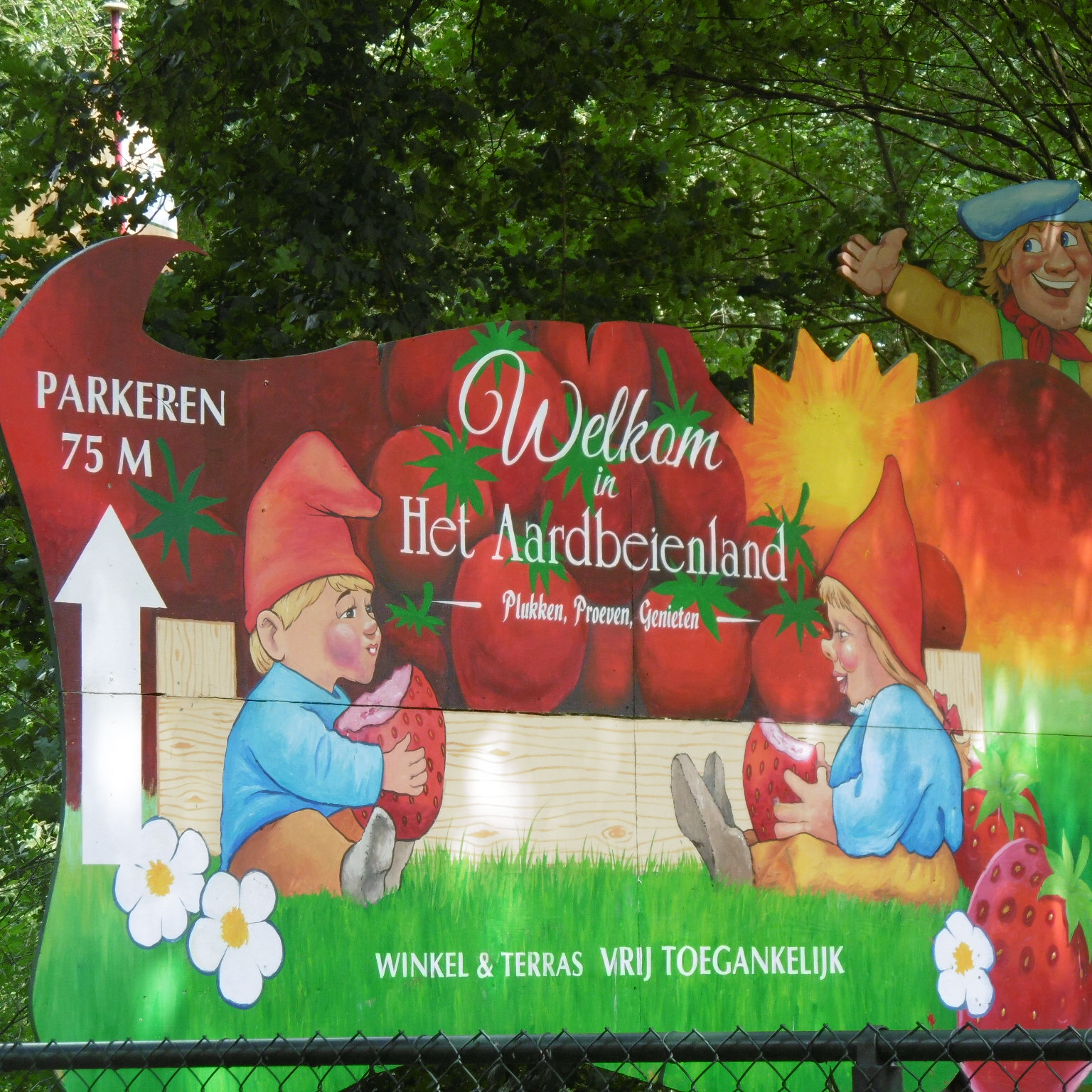 aardbeienland limburg