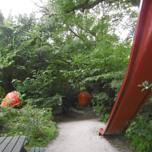 aardbeienland limburg