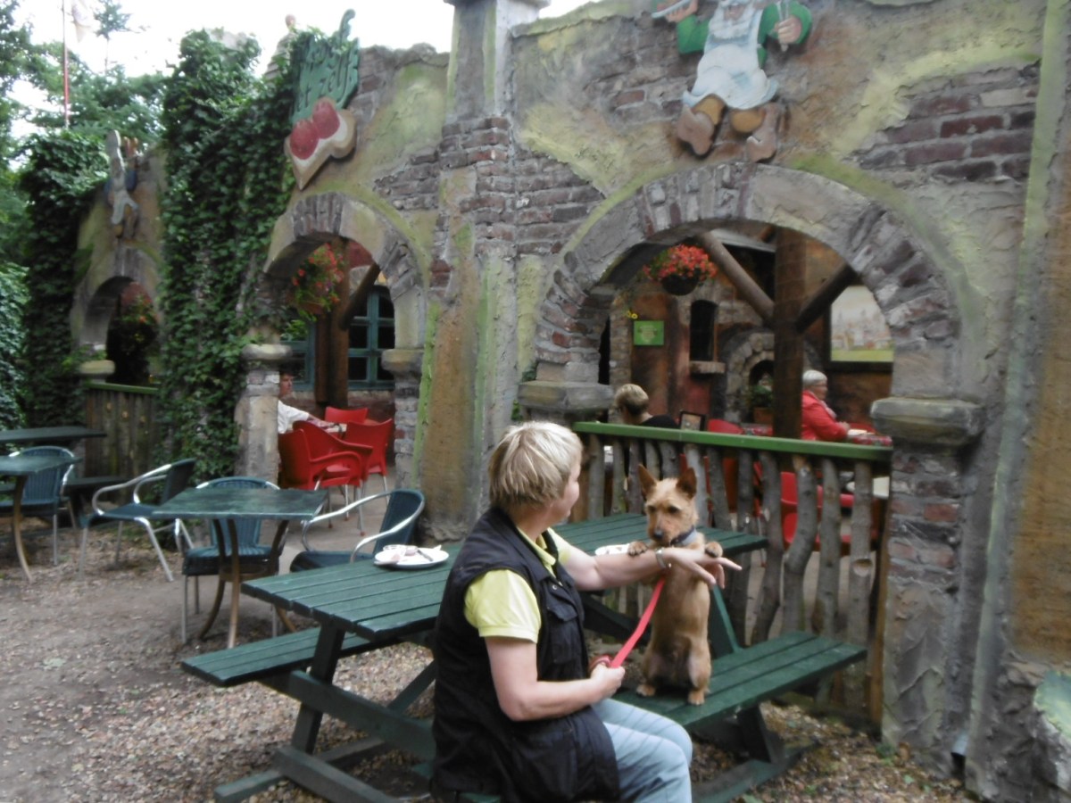 Aardbeienland in Horst 🍓