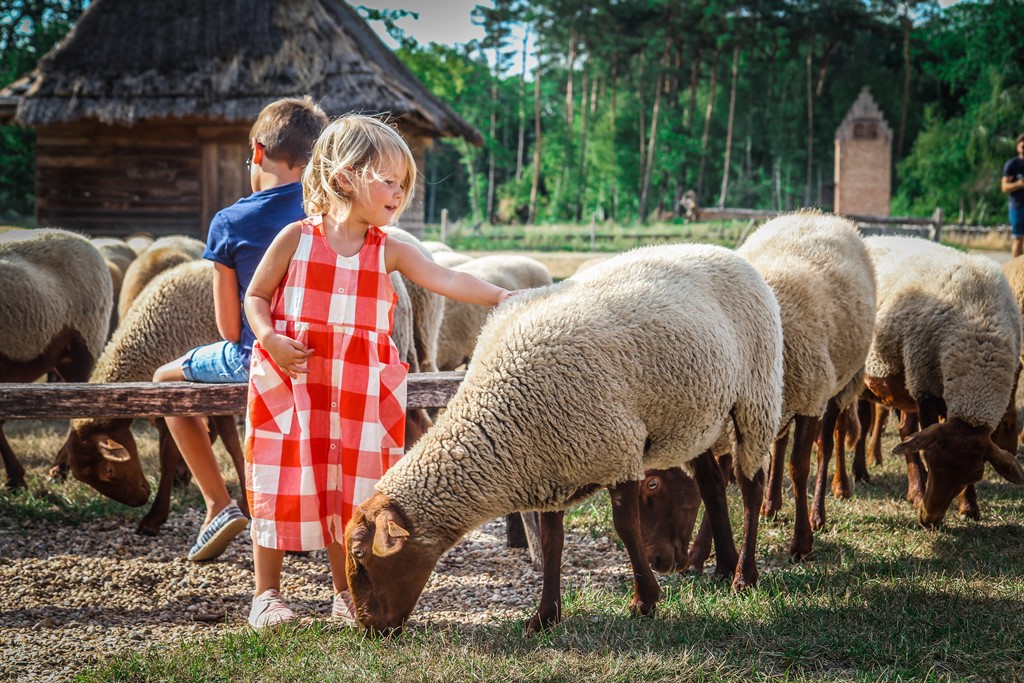 Domein Bokrijk Belgie