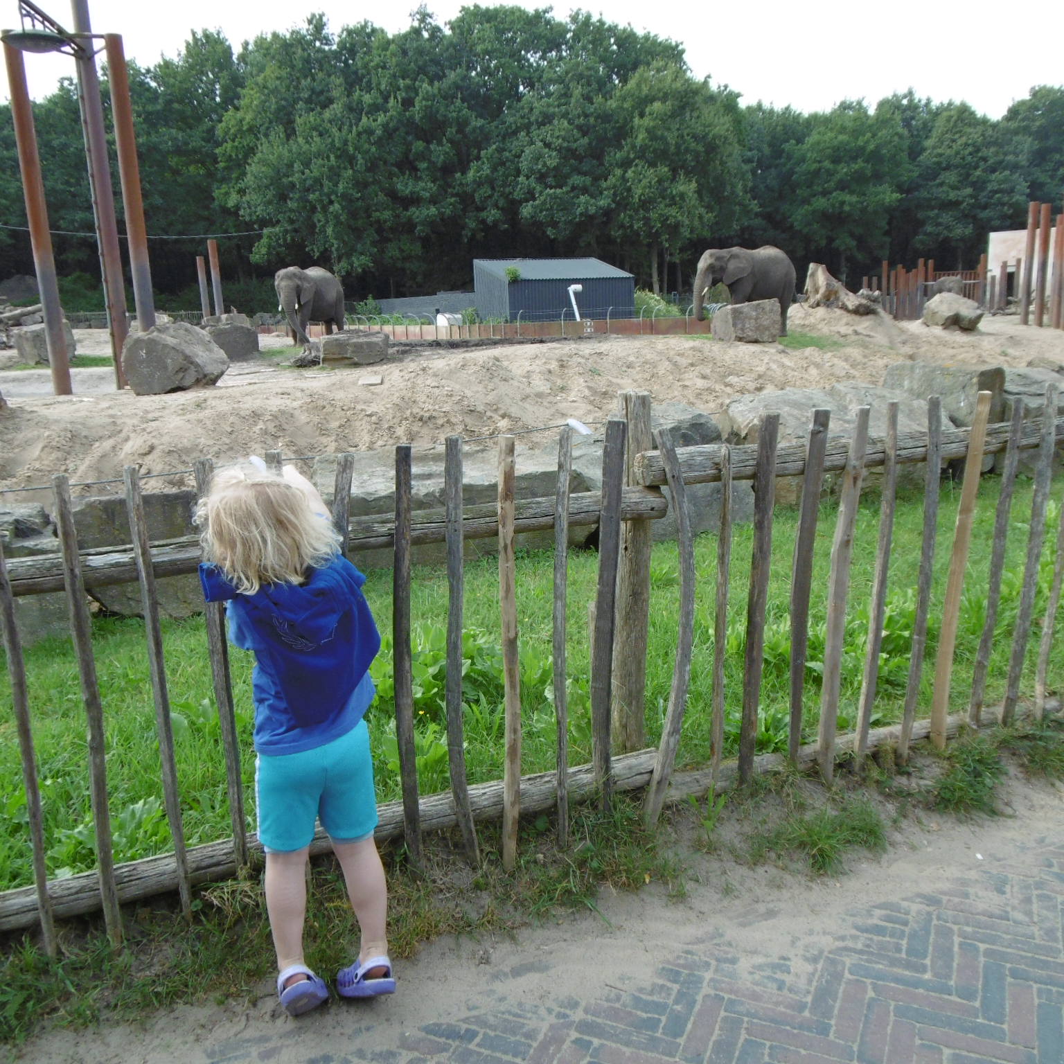 ouwehands dierenpark