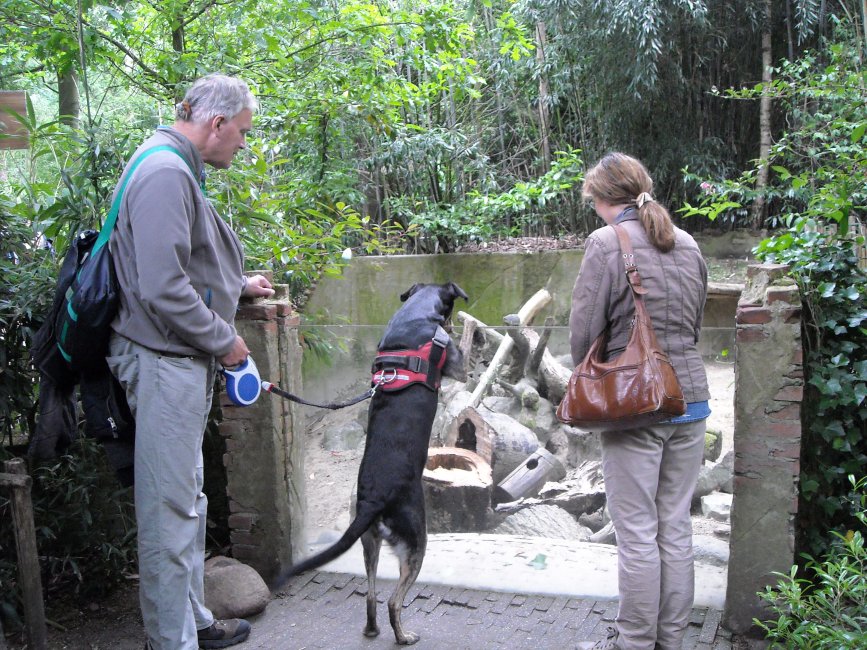 dierenpark amersfoort