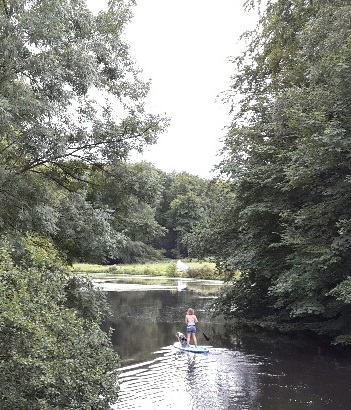 hond op surfplank bos