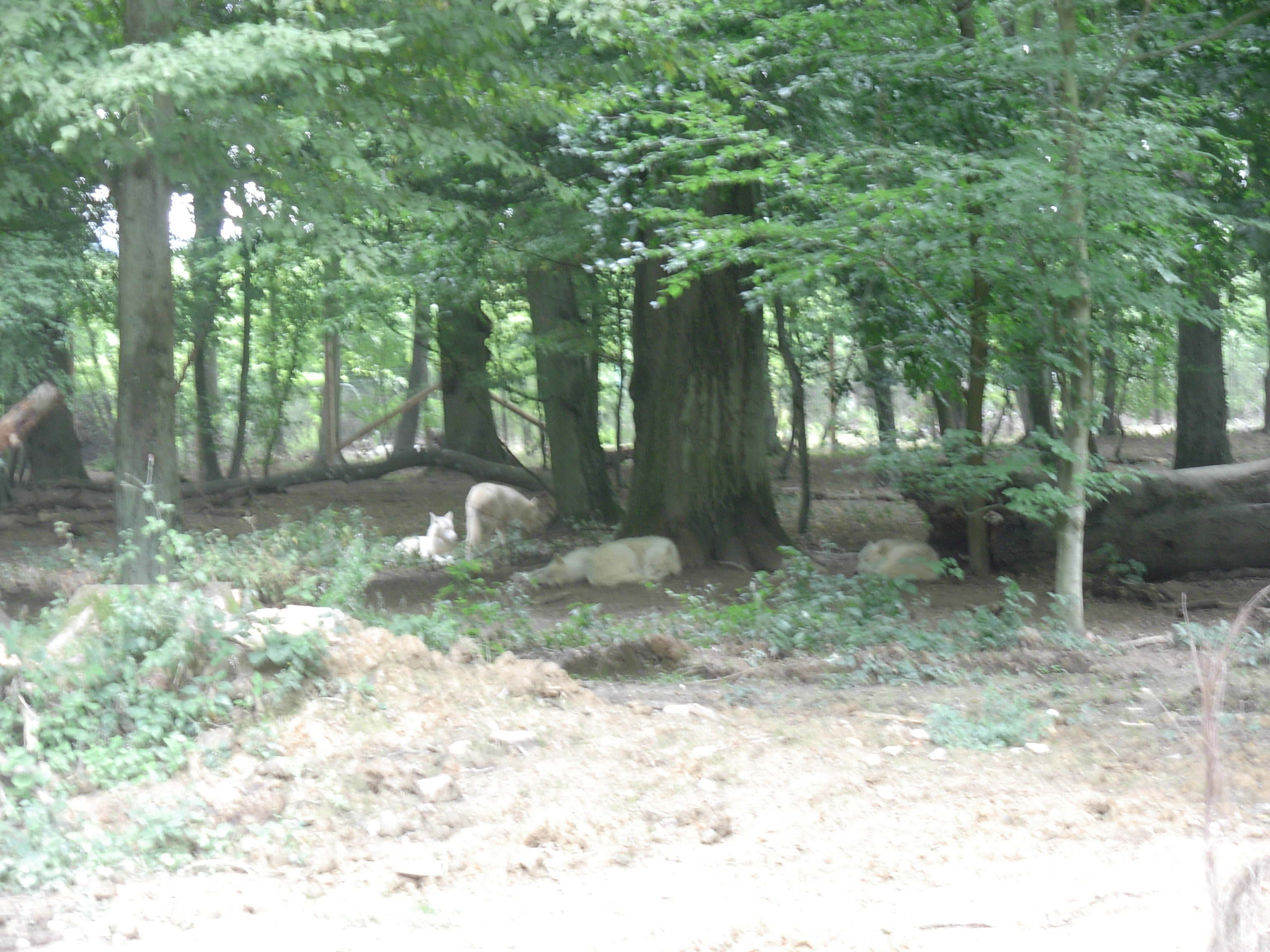 Parc Merveilleux in Bettembourg