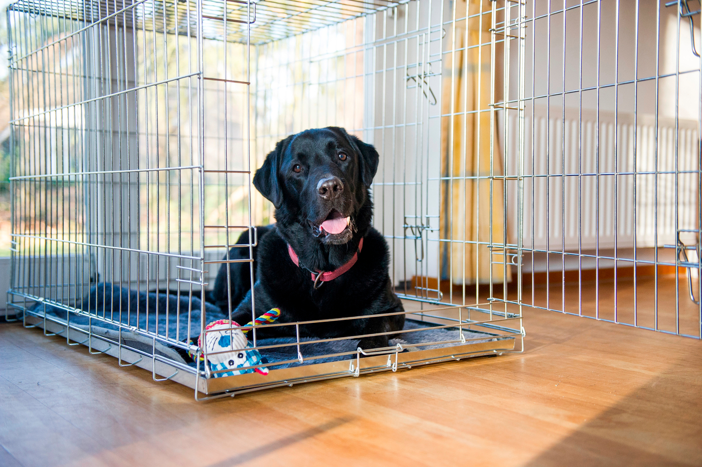 landal hondenbungalow