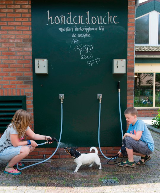 landal hondenbungalow