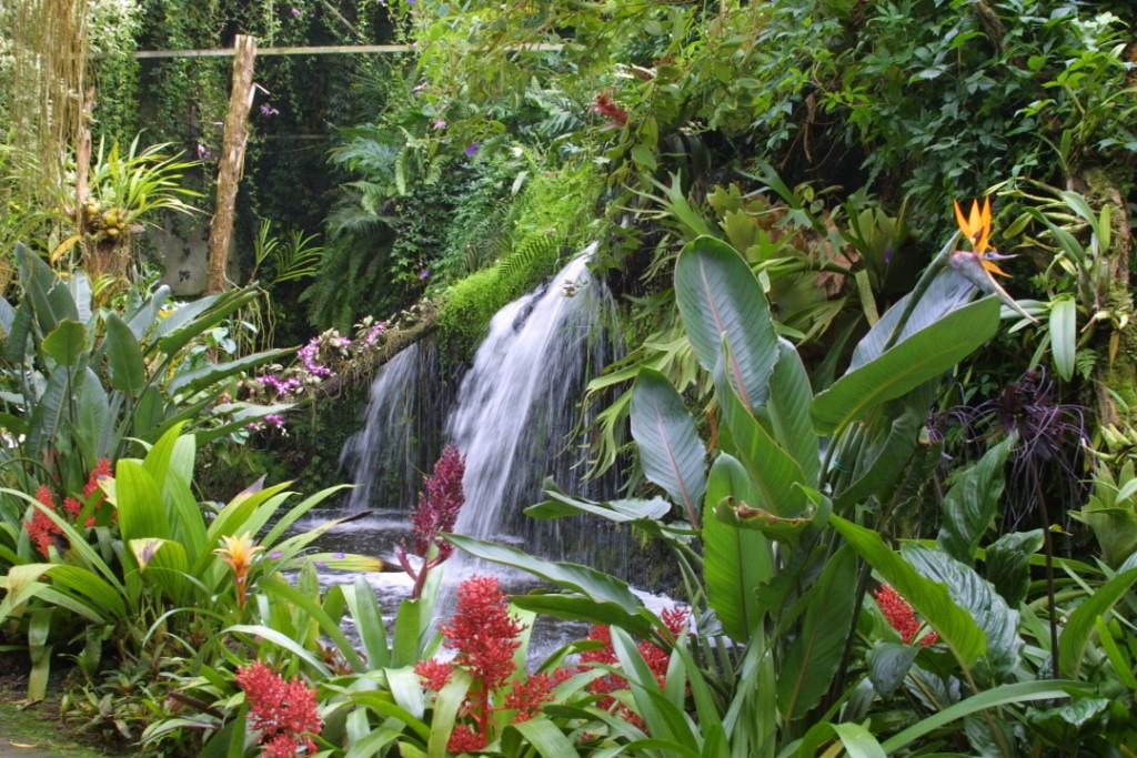 De Orchideeën Hoeve