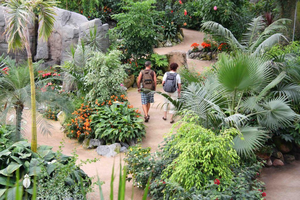 Orchideeënhoeve in Flevoland