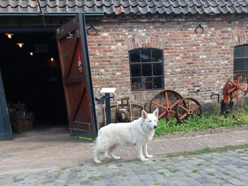 Eynderhoof in Nederweert