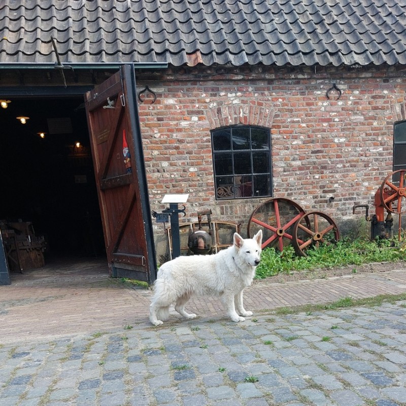 Eynderhoof in Nederweert