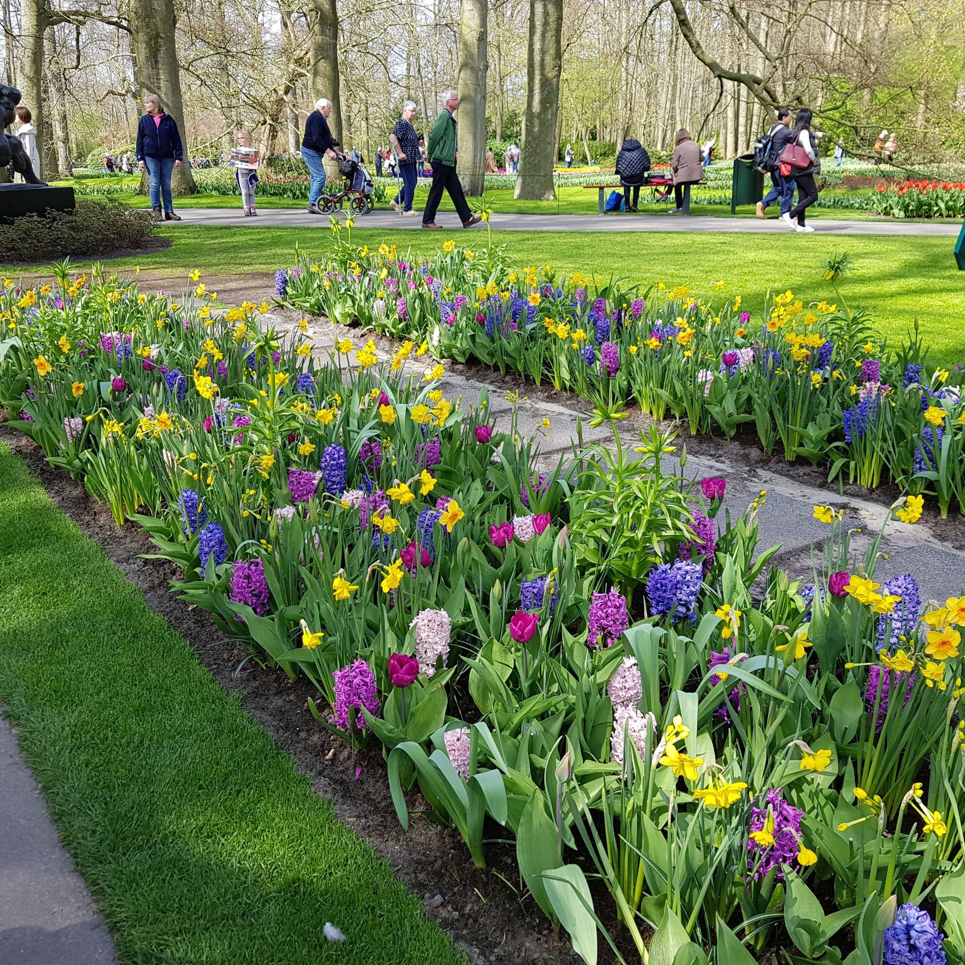 Keukenhof