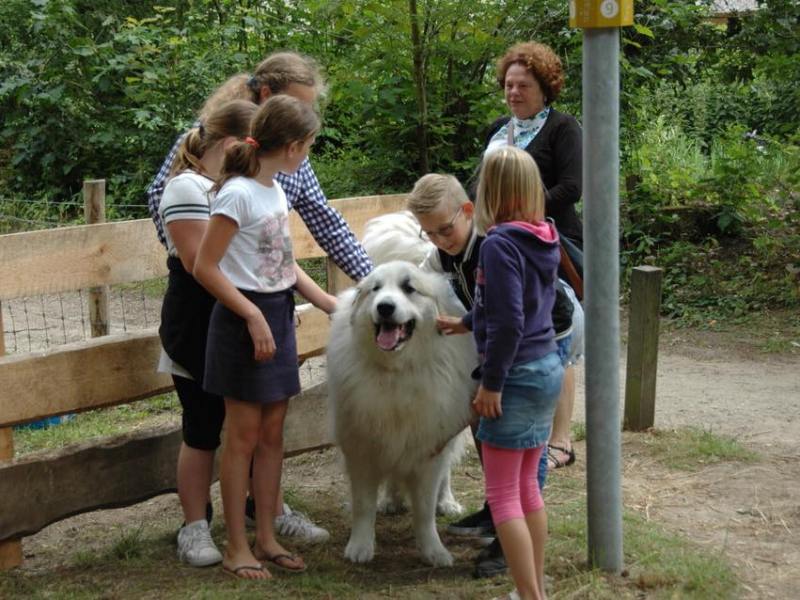 Gelderland – dagje weg, hond mee