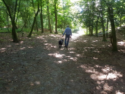 viervoetervriendelijk wandel app