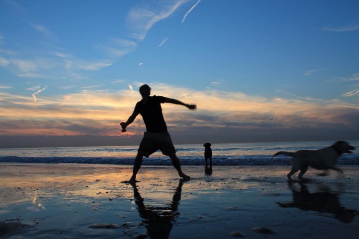2 honden zonsondergang