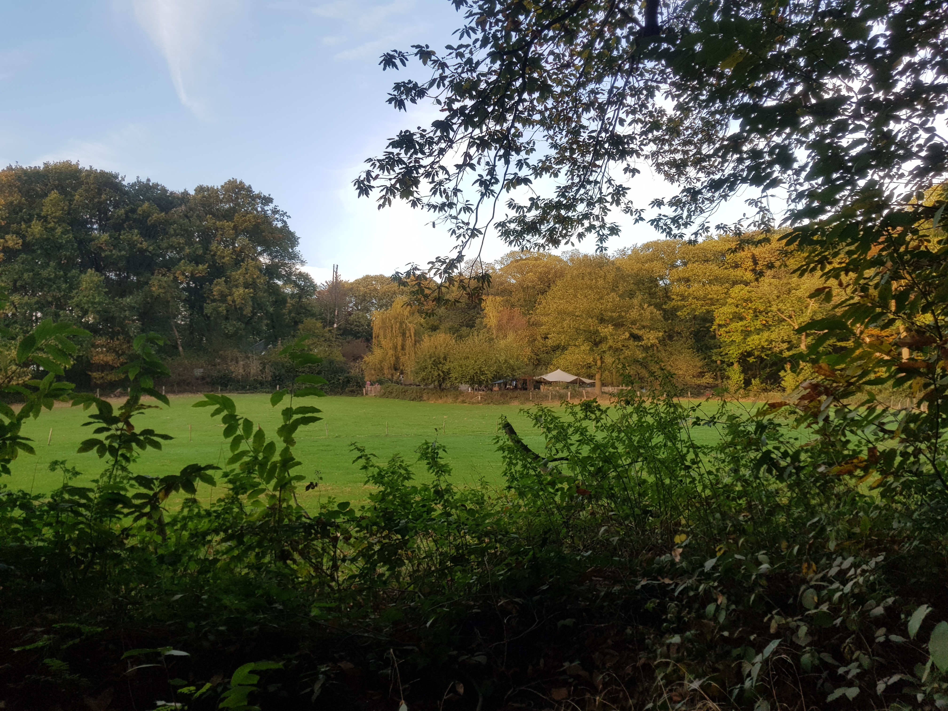 duivelsberg viervoetervriendelijk