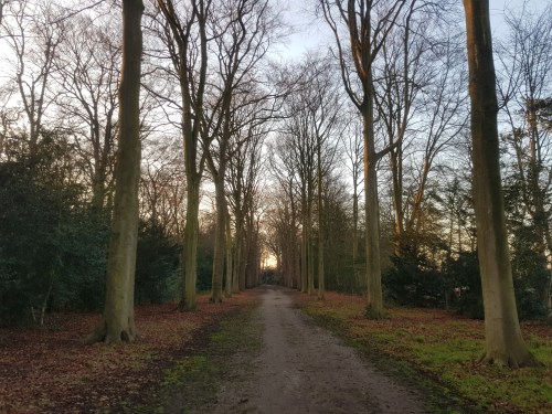 warmond park zuid holland