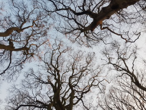 warmond park zuid holland