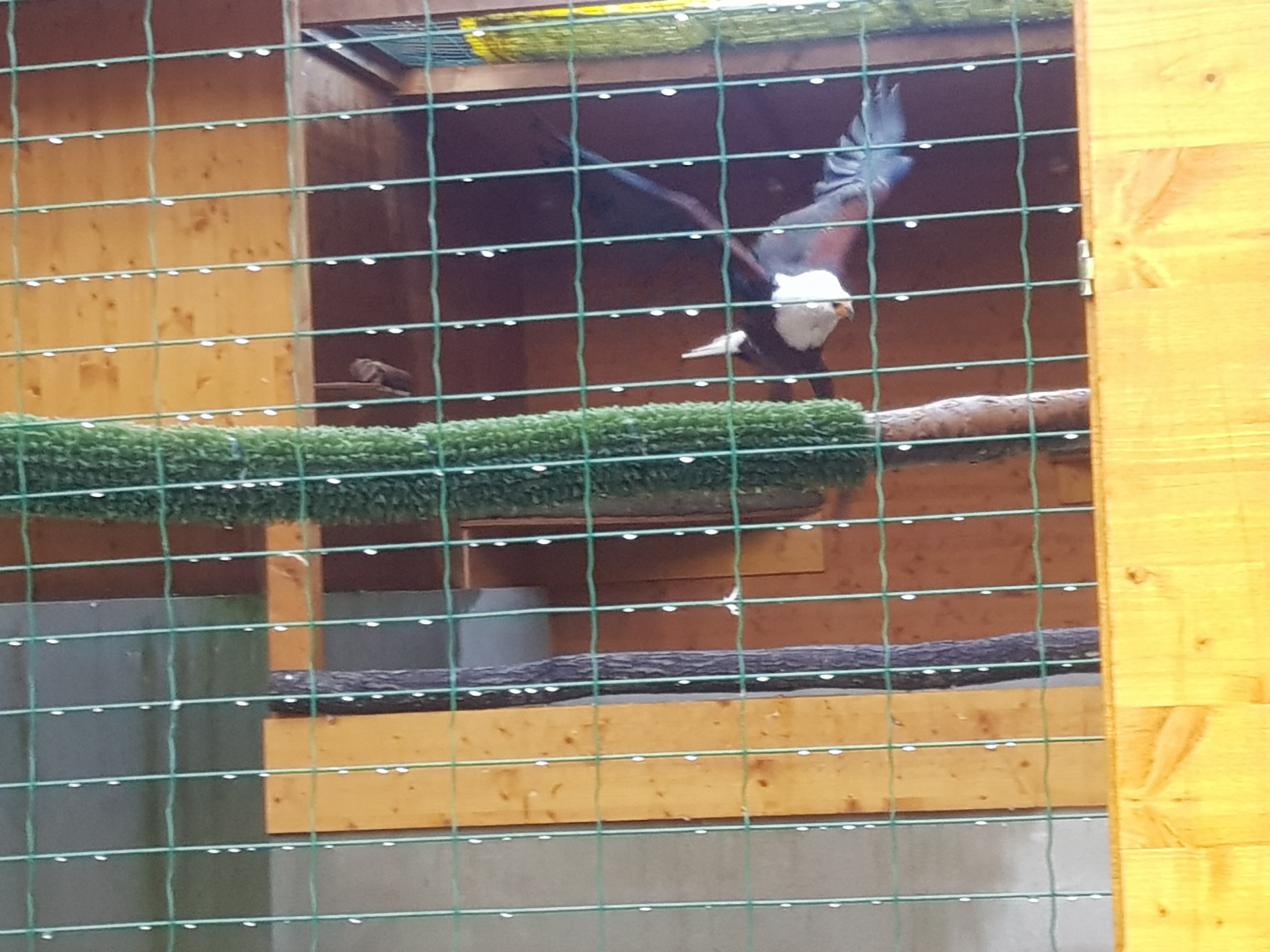 Eifefpark viervoetervriendelijk