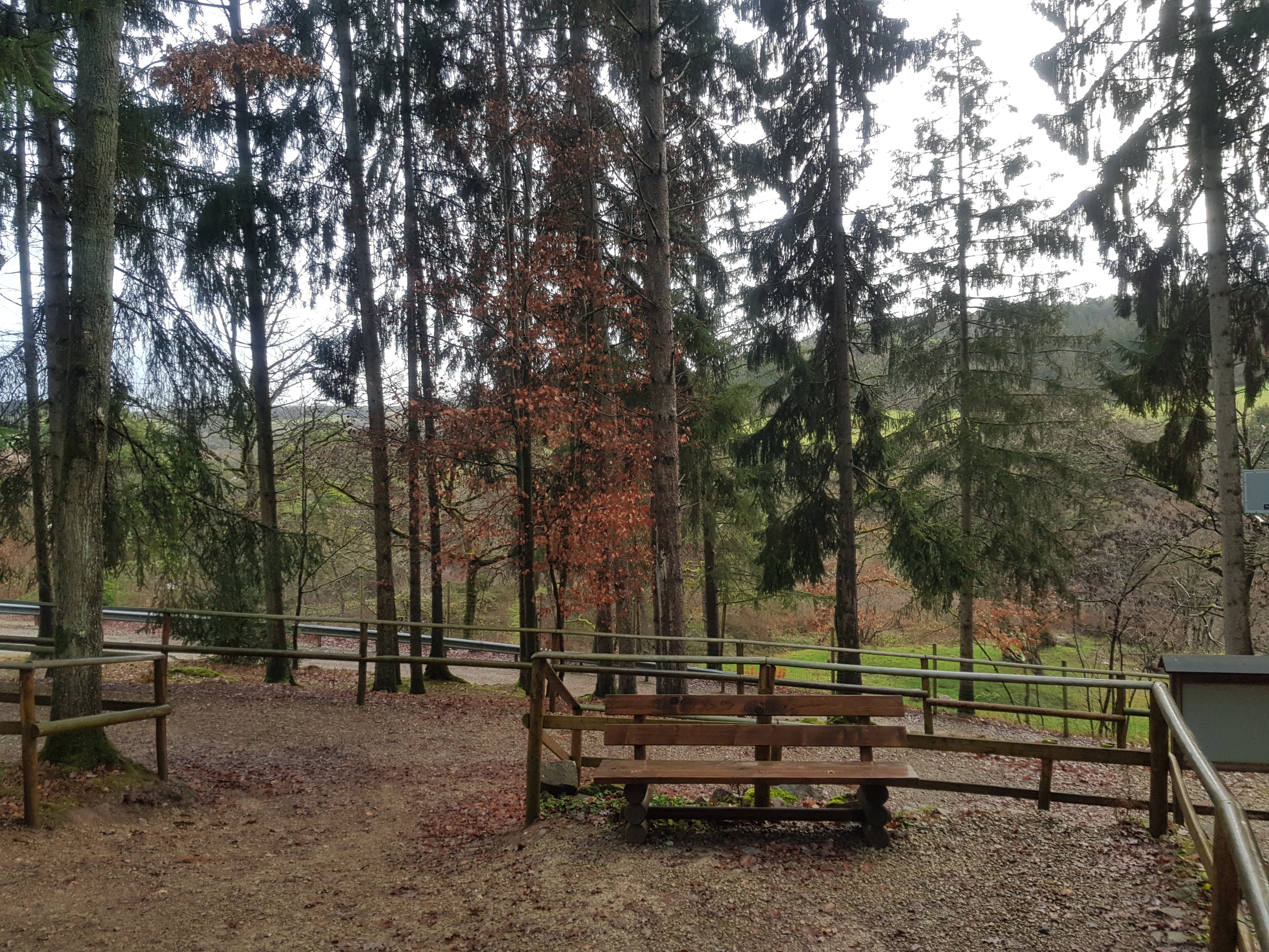 Eifefpark viervoetervriendelijk