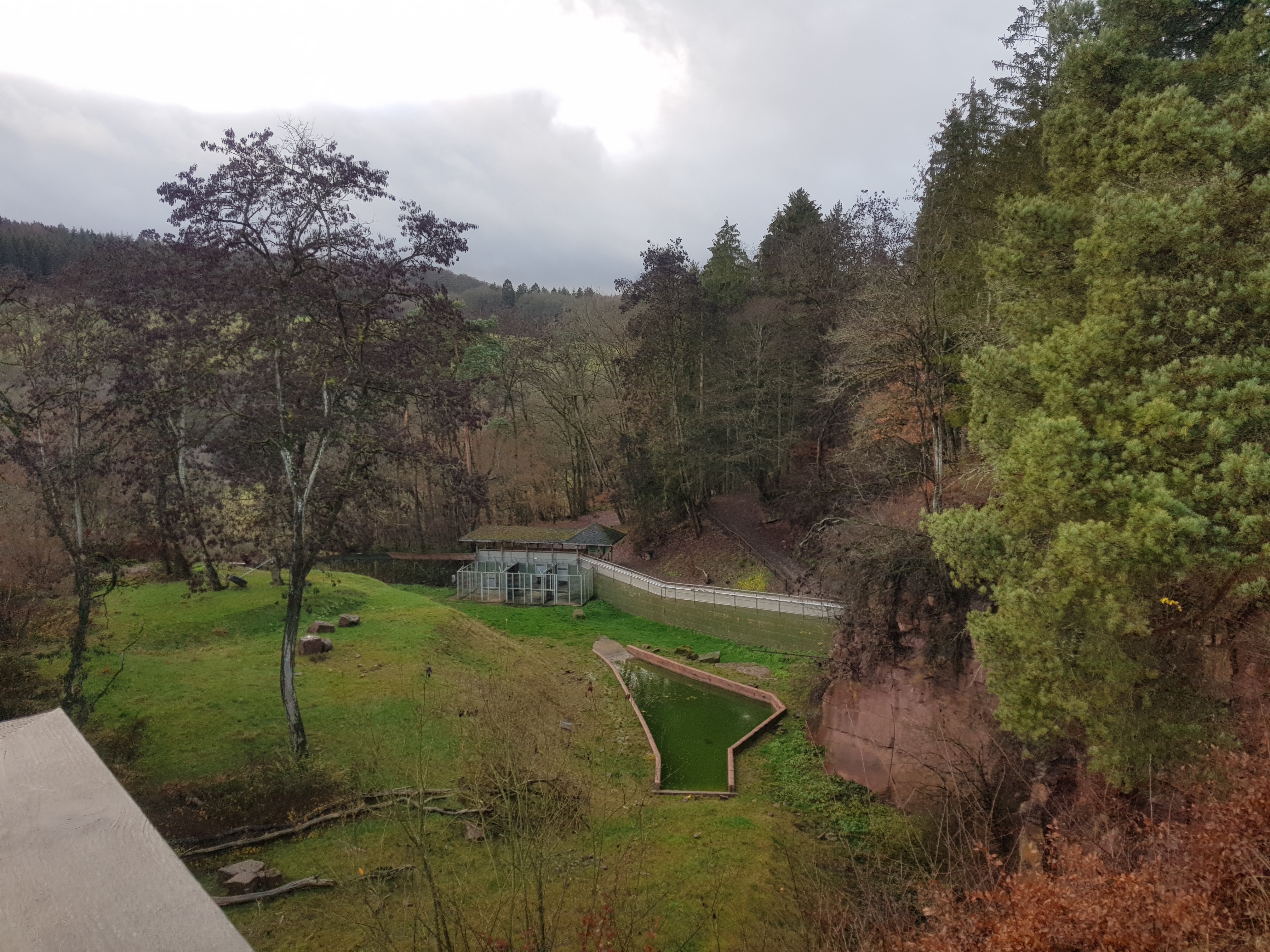 Eifefpark viervoetervriendelijk