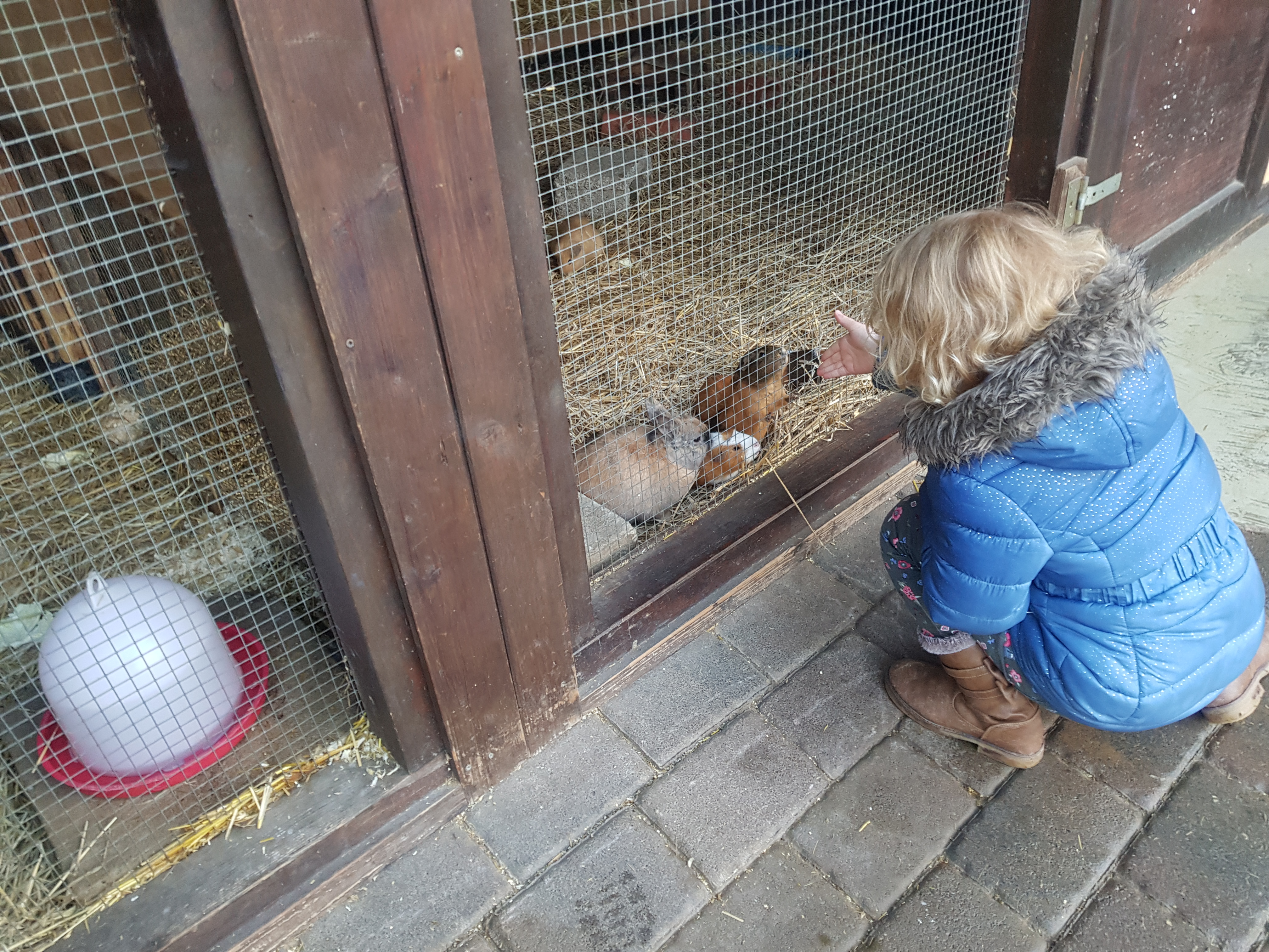 Eifefpark viervoetervriendelijk