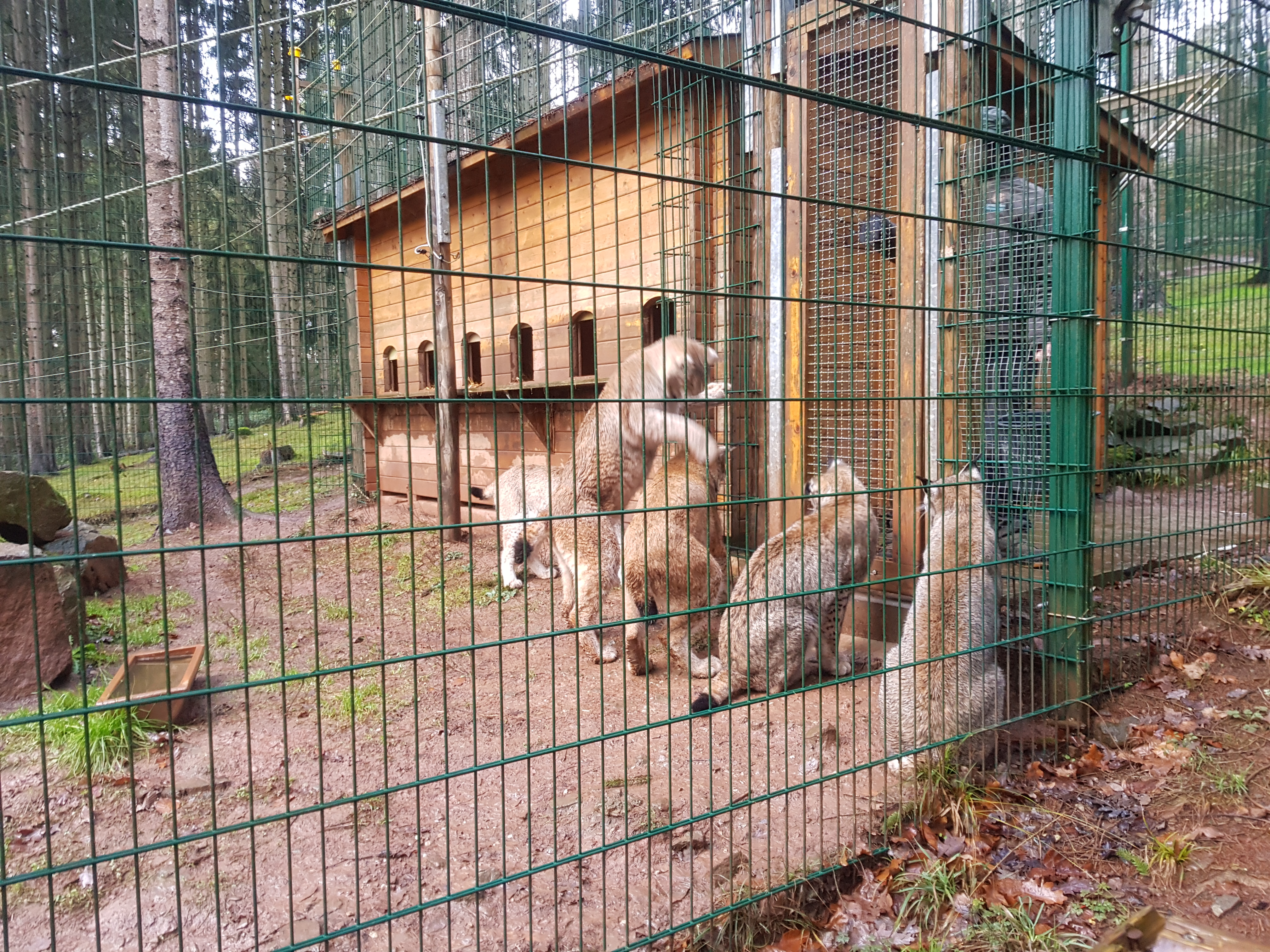 Eifefpark viervoetervriendelijk