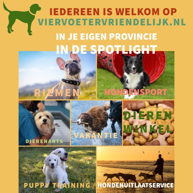 Adverteren viervoetervriendelijk