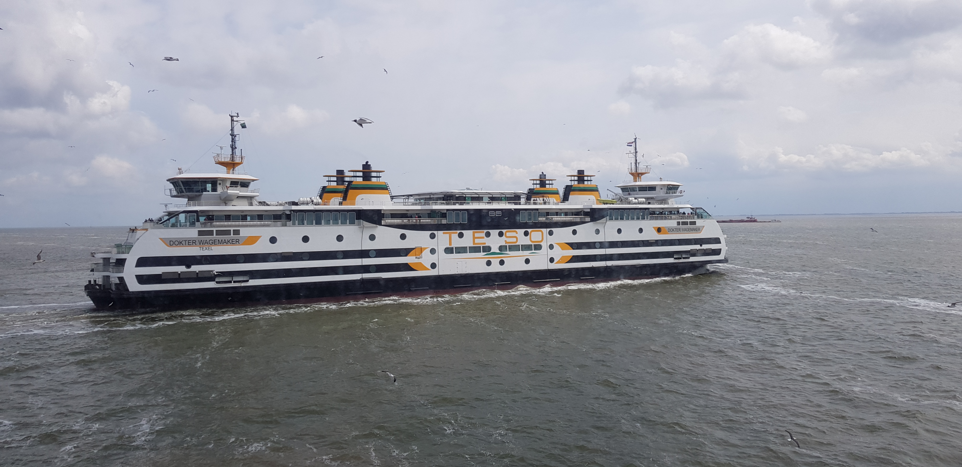 teso boot den helder texel