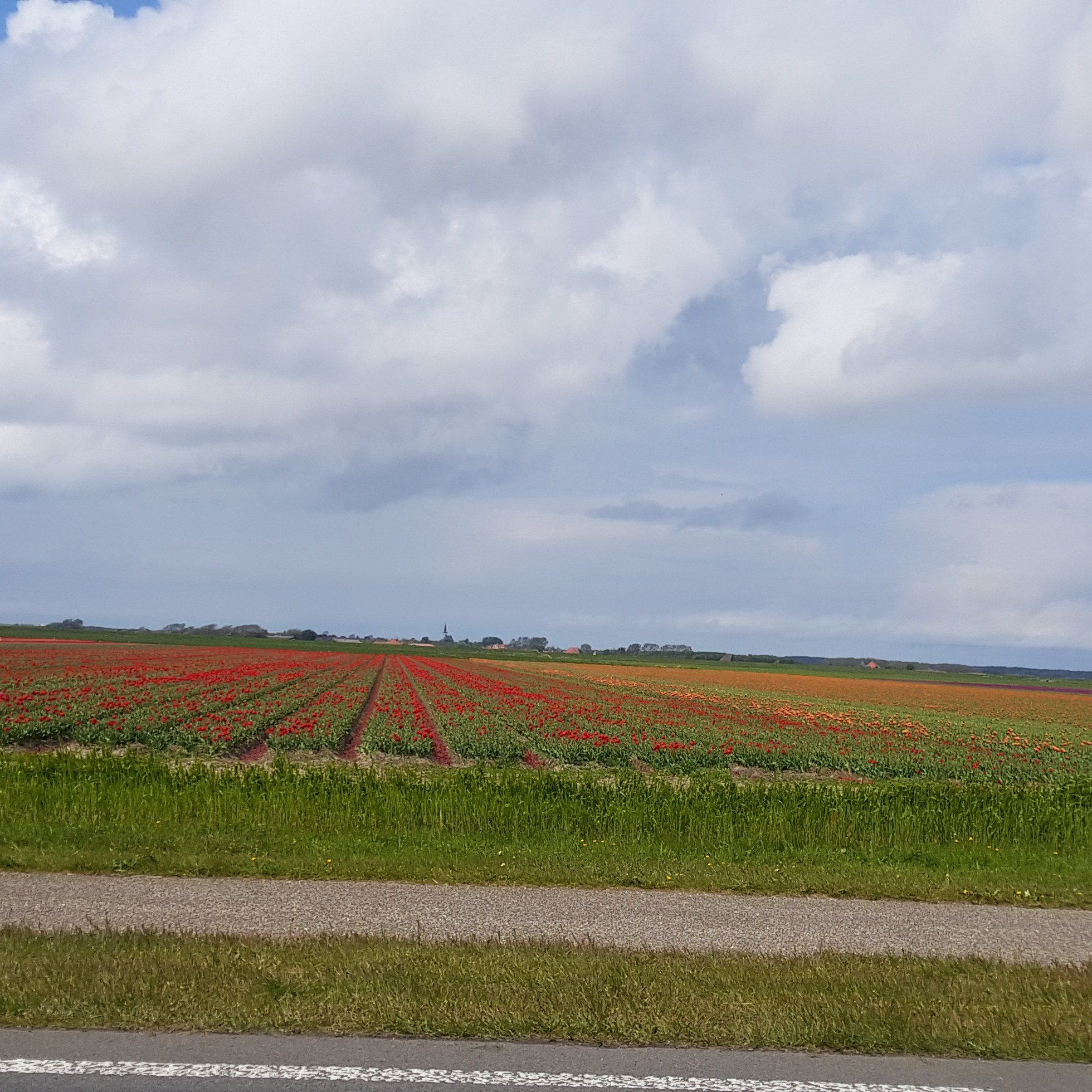 camping loodsmansduin texel