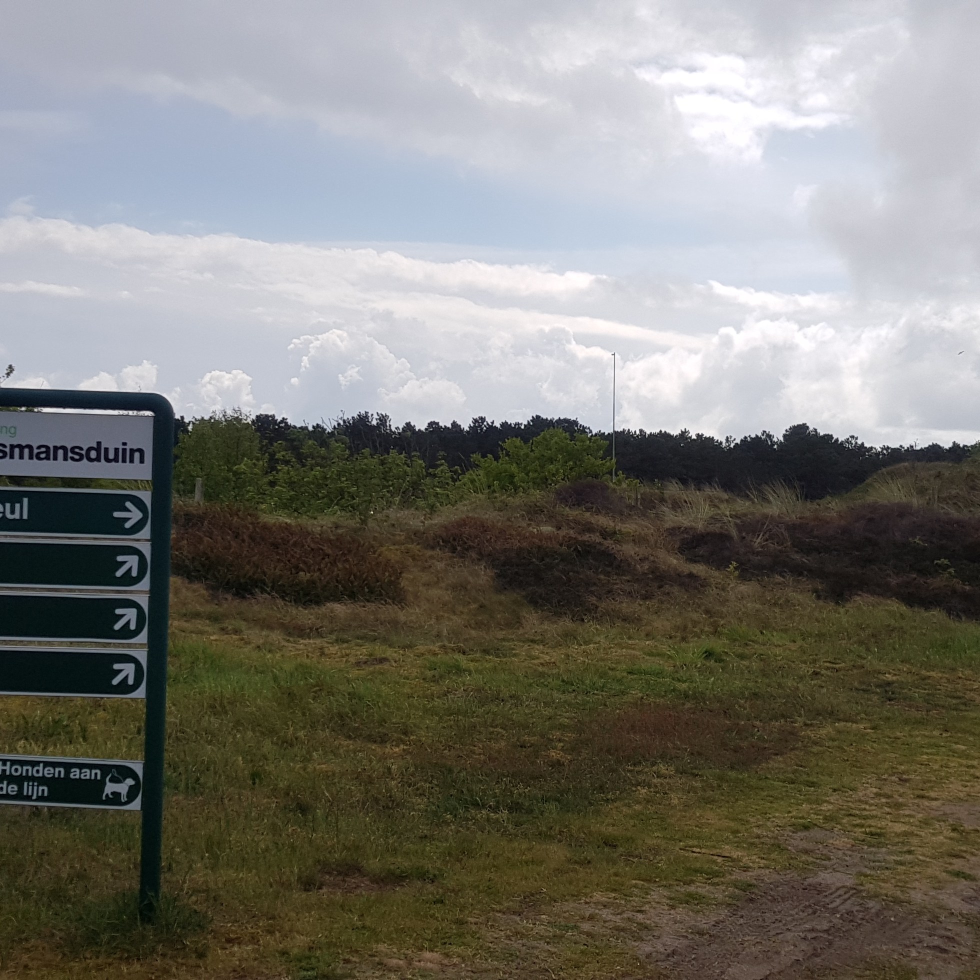 camping loodsmansduin texel