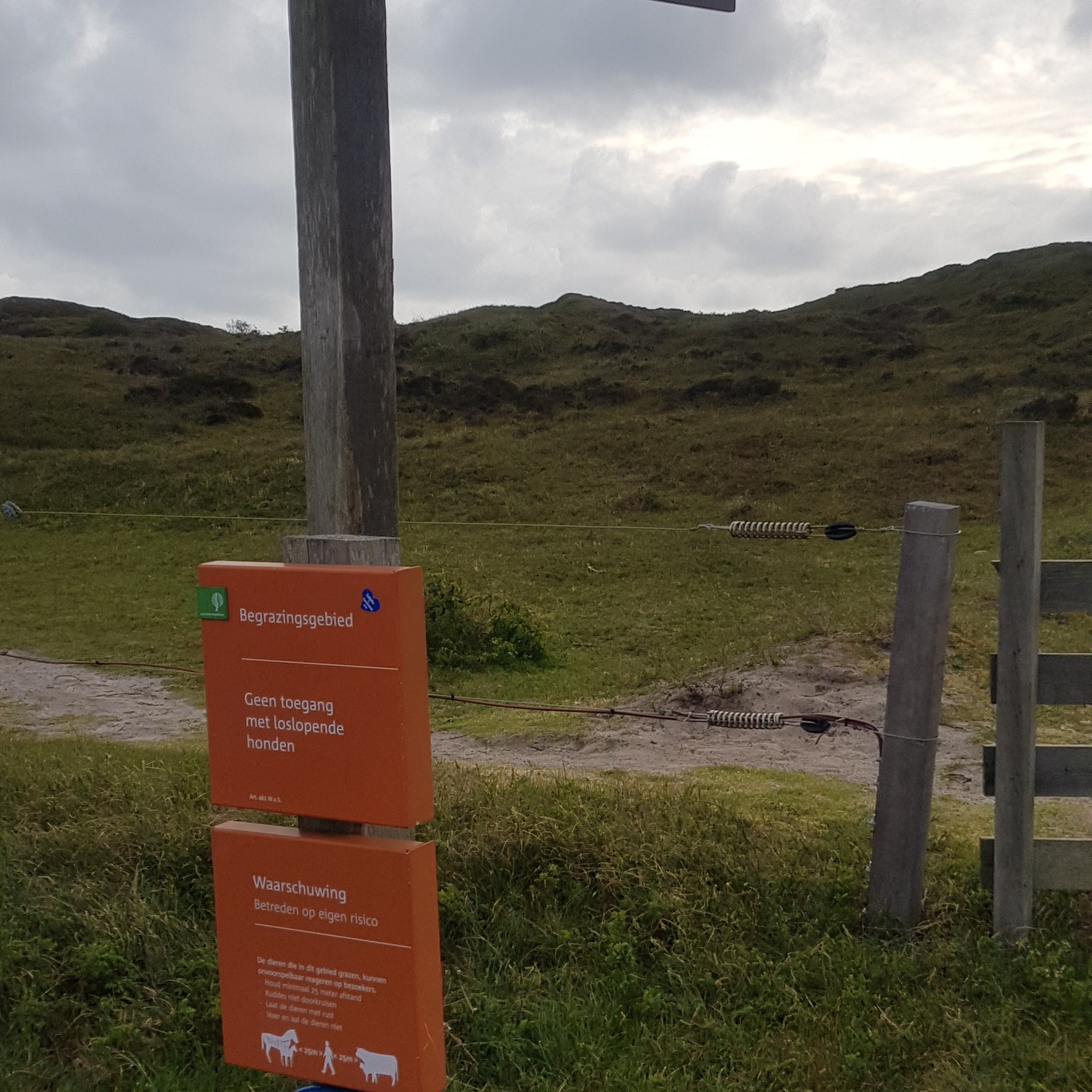 camping loodsmansduin texel duinwandeling