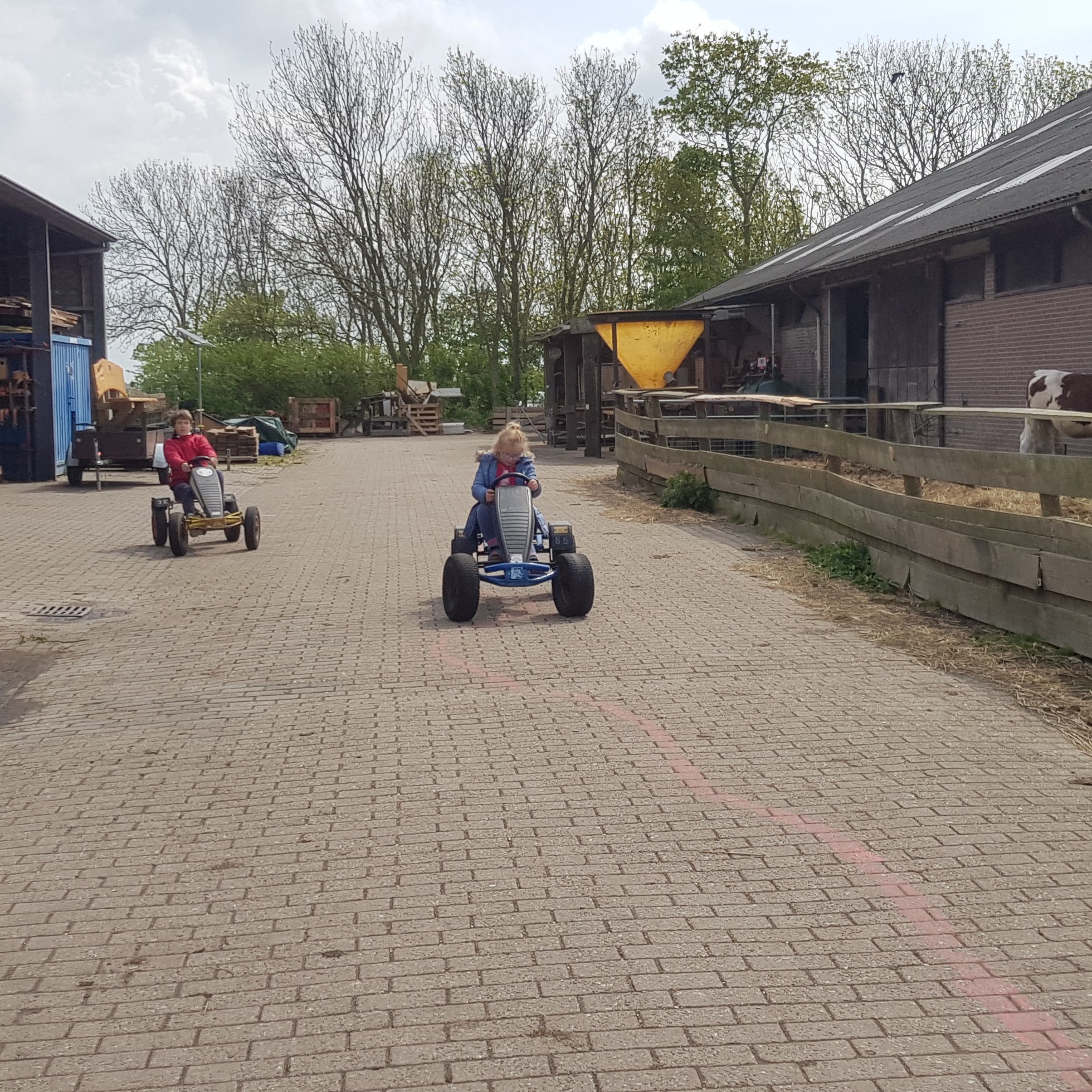 novalis boerderij texel