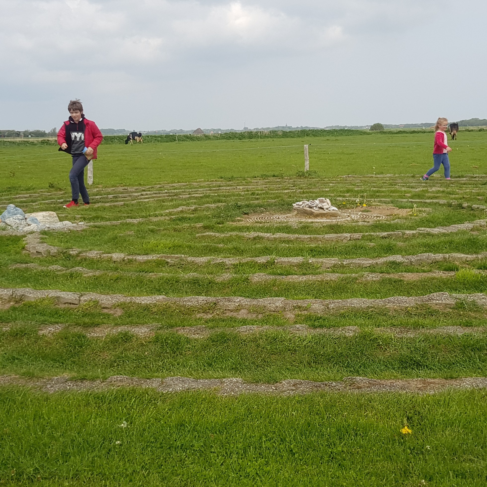novalis boerderij texel