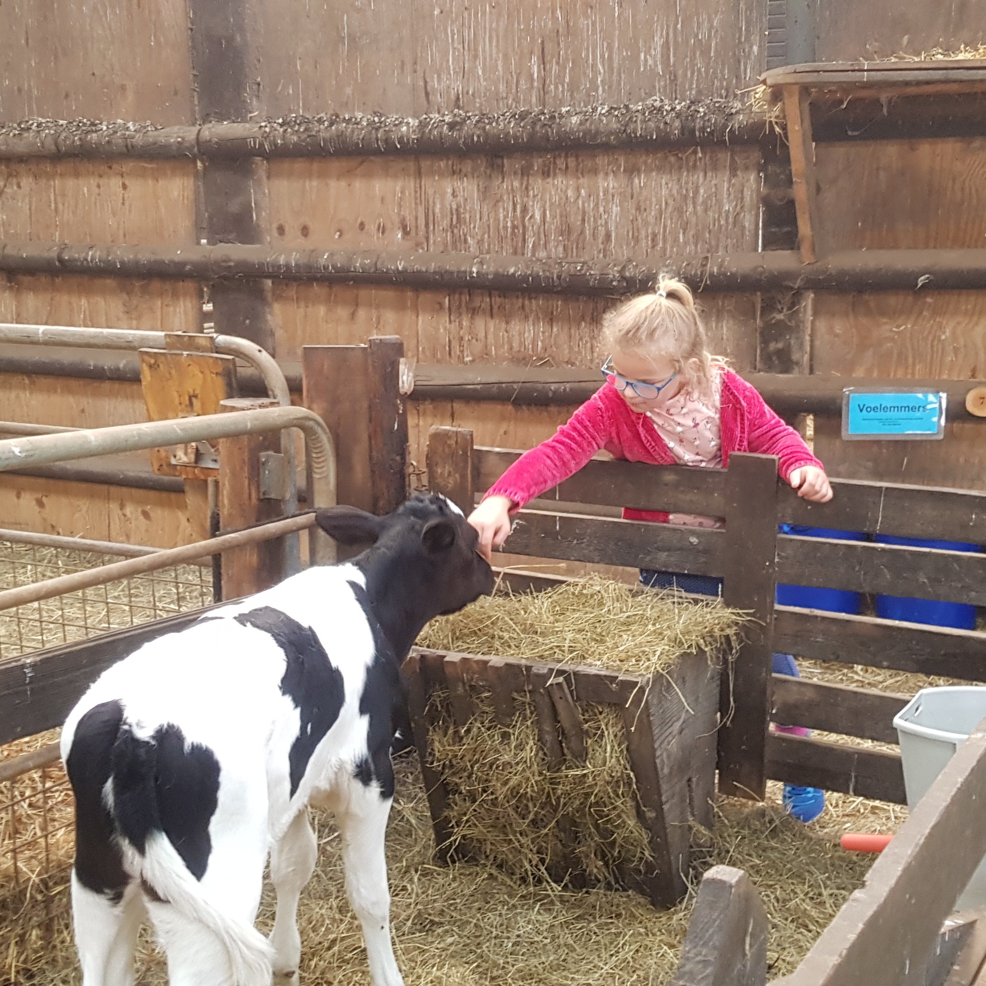 novalis boerderij texel