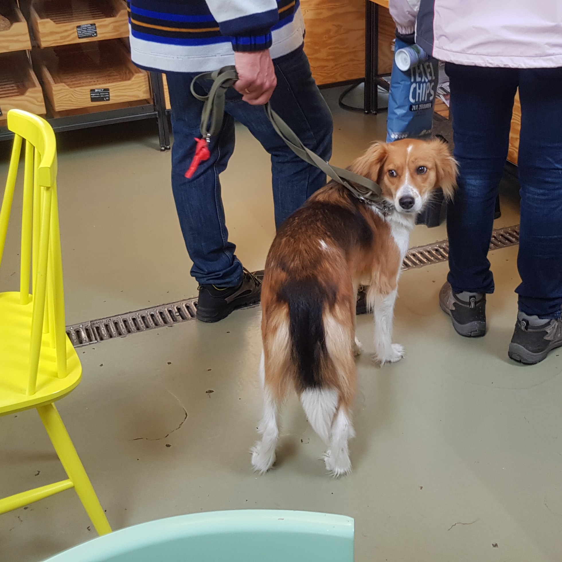 winkel novalis hoeve texel